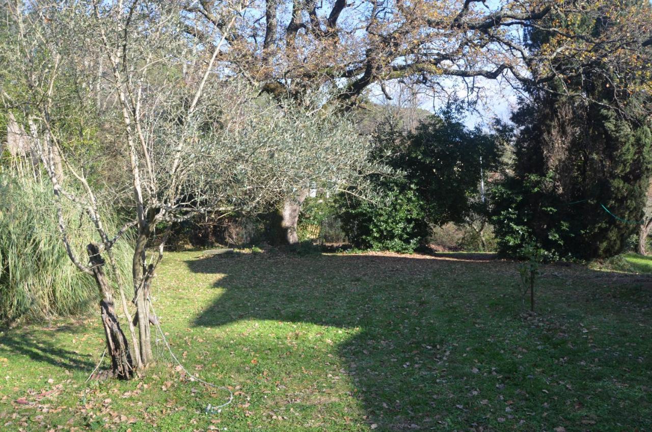 Il Giardino Secreto Daire Manziana Dış mekan fotoğraf