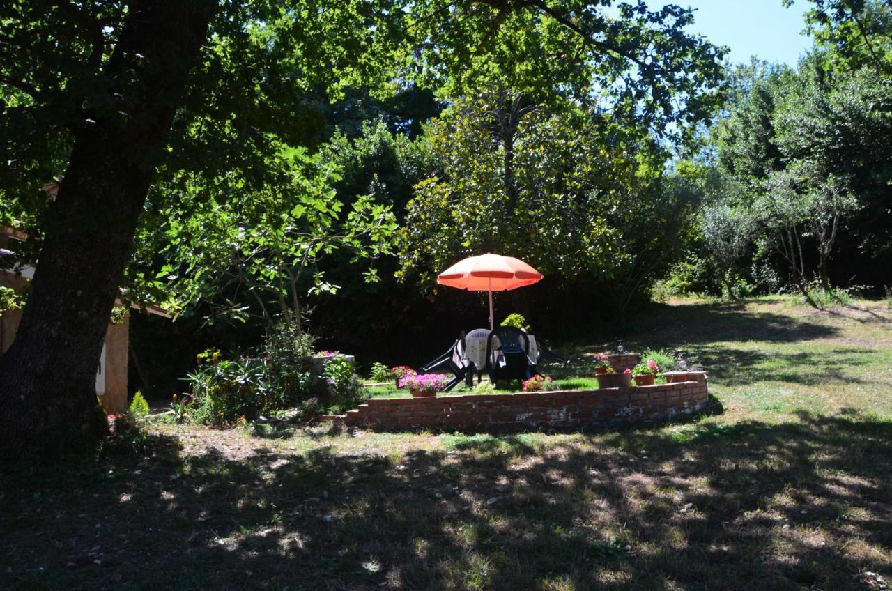 Il Giardino Secreto Daire Manziana Dış mekan fotoğraf